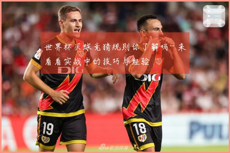世界杯买球竞猜规则你了解吗- 来看看实战中的技巧与经验
