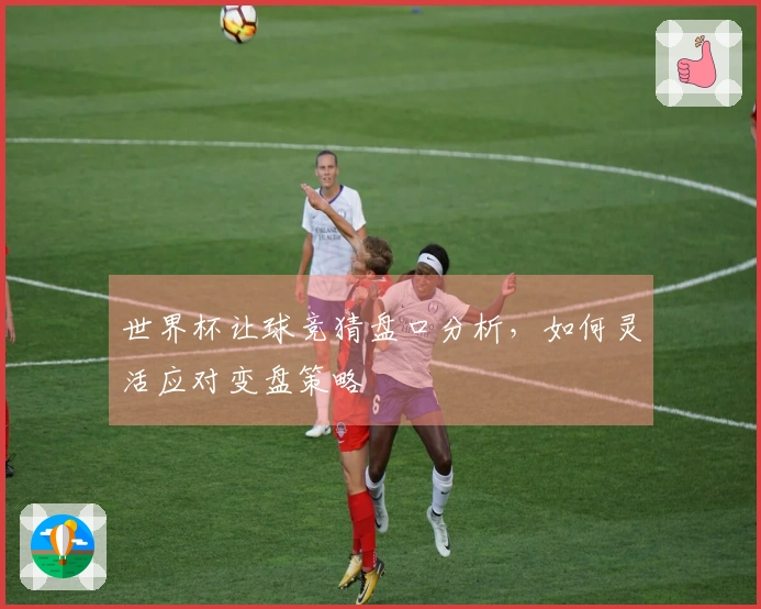 世界杯让球竞猜盘口分析，如何灵活应对变盘策略