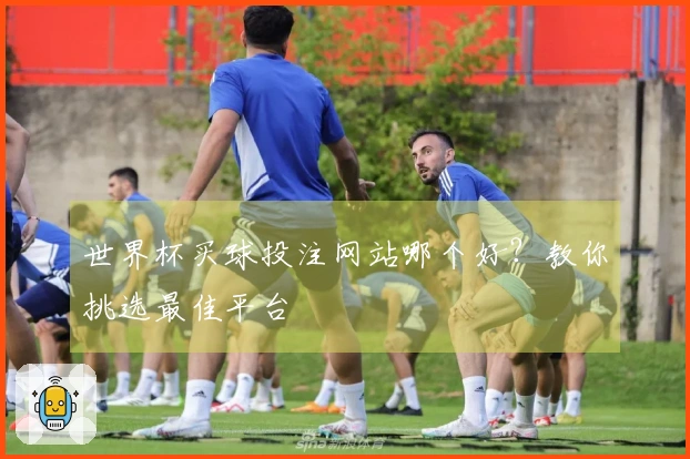 世界杯买球投注网站哪个好？教你挑选最佳平台