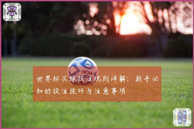 世界杯买球投注规则详解：新手必知的投注技巧与注意事项