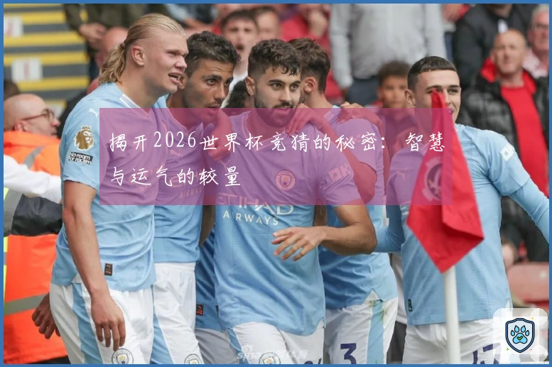 揭开2026世界杯竞猜的秘密：智慧与运气的较量