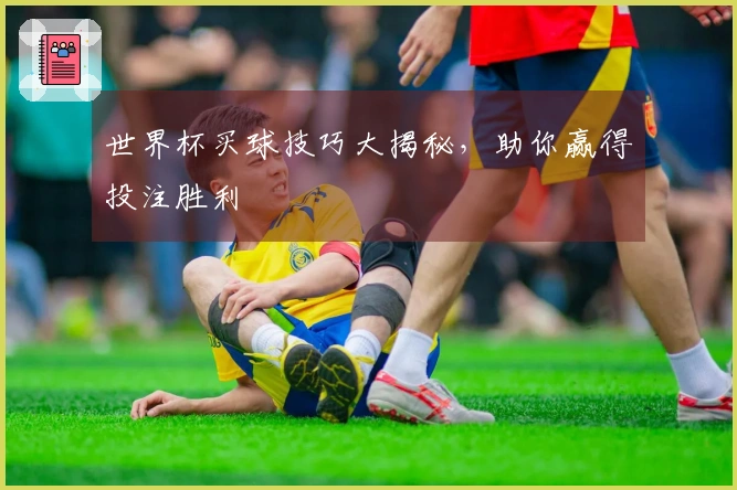 世界杯买球技巧大揭秘，助你赢得投注胜利