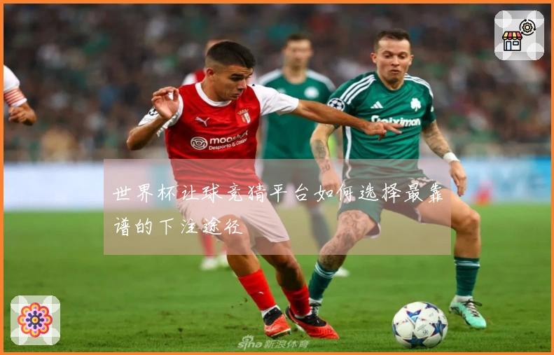 世界杯让球竞猜平台如何选择最靠谱的下注途径