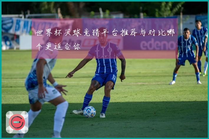世界杯买球竞猜平台推荐与对比哪个更适合你