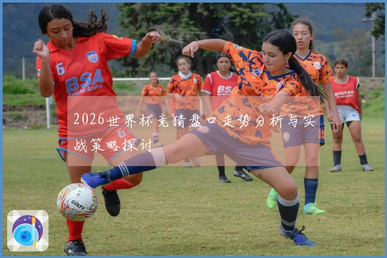 2026世界杯竞猜盘口走势分析与实战策略探讨