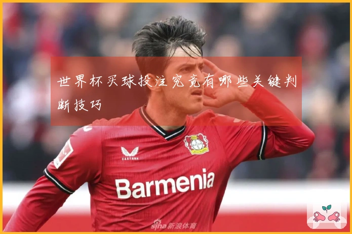 世界杯买球投注究竟有哪些关键判断技巧