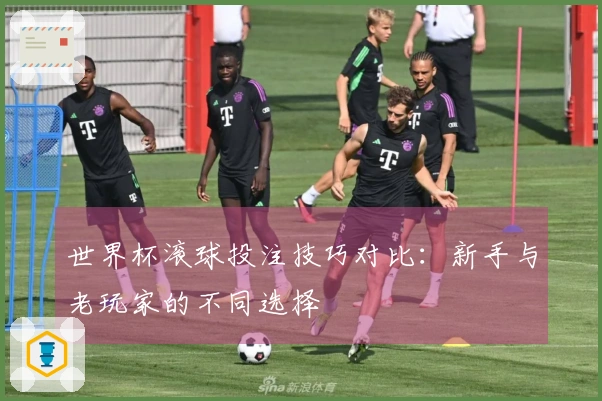 世界杯滚球投注技巧对比：新手与老玩家的不同选择