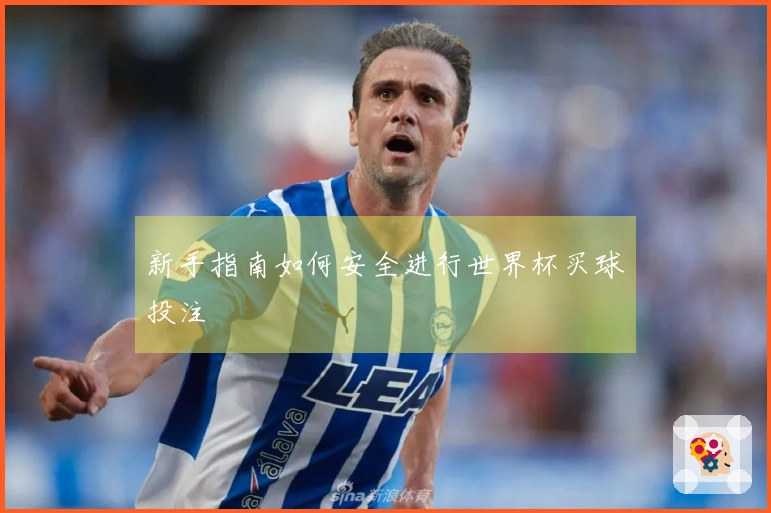 新手指南如何安全进行世界杯买球投注