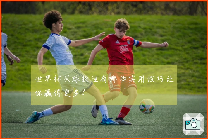 世界杯买球投注有哪些实用技巧让你赢得更多？