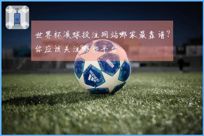 世界杯滚球投注网站哪家最靠谱？你应该关注哪些平台