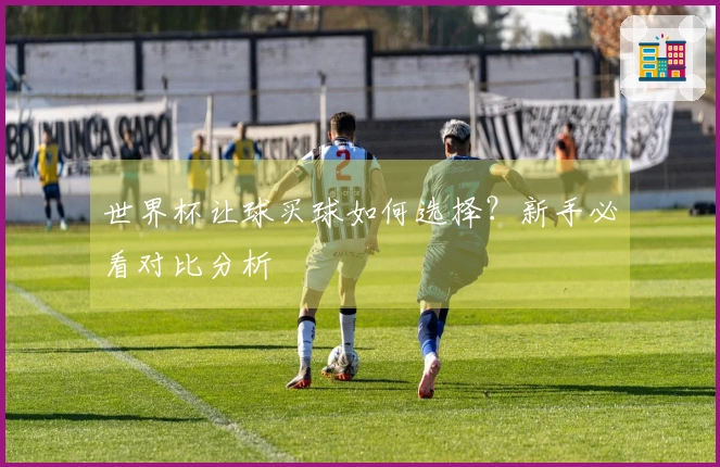 世界杯让球买球如何选择？新手必看对比分析
