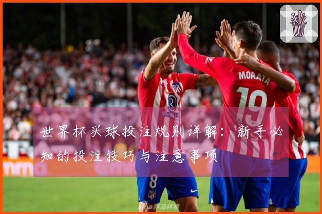 世界杯买球投注规则详解：新手必知的投注技巧与注意事项