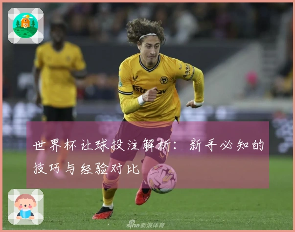世界杯让球投注解析：新手必知的技巧与经验对比